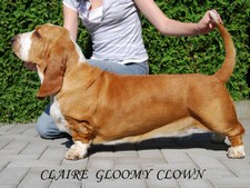 Ch. Claire Gloomy Clown